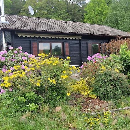 Blockhaus Am Waldrand Villa Erbach  Buitenkant foto