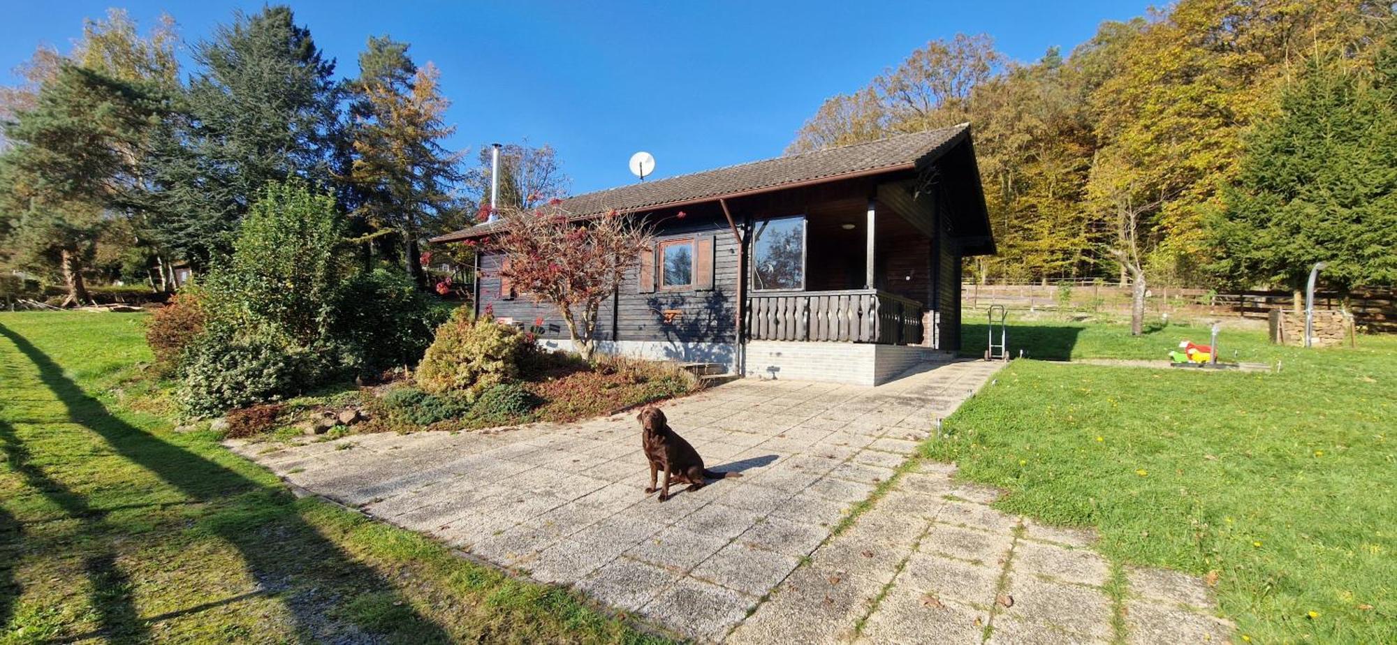 Blockhaus Am Waldrand Villa Erbach  Buitenkant foto