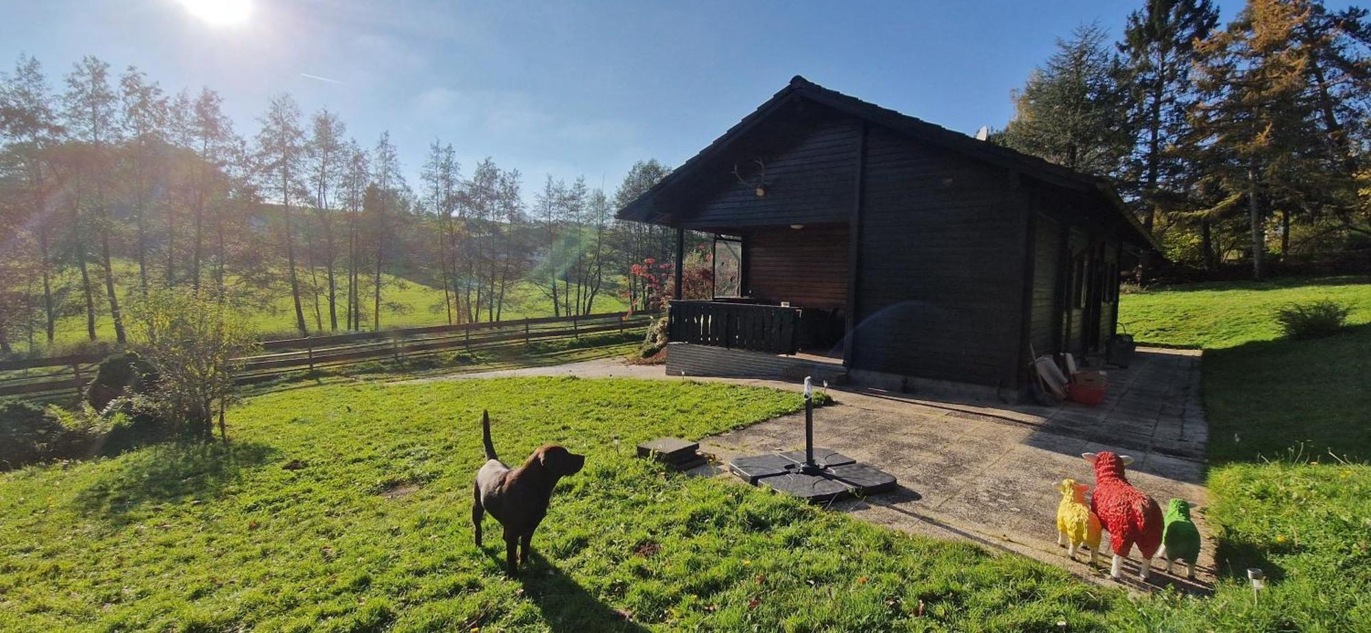 Blockhaus Am Waldrand Villa Erbach  Buitenkant foto