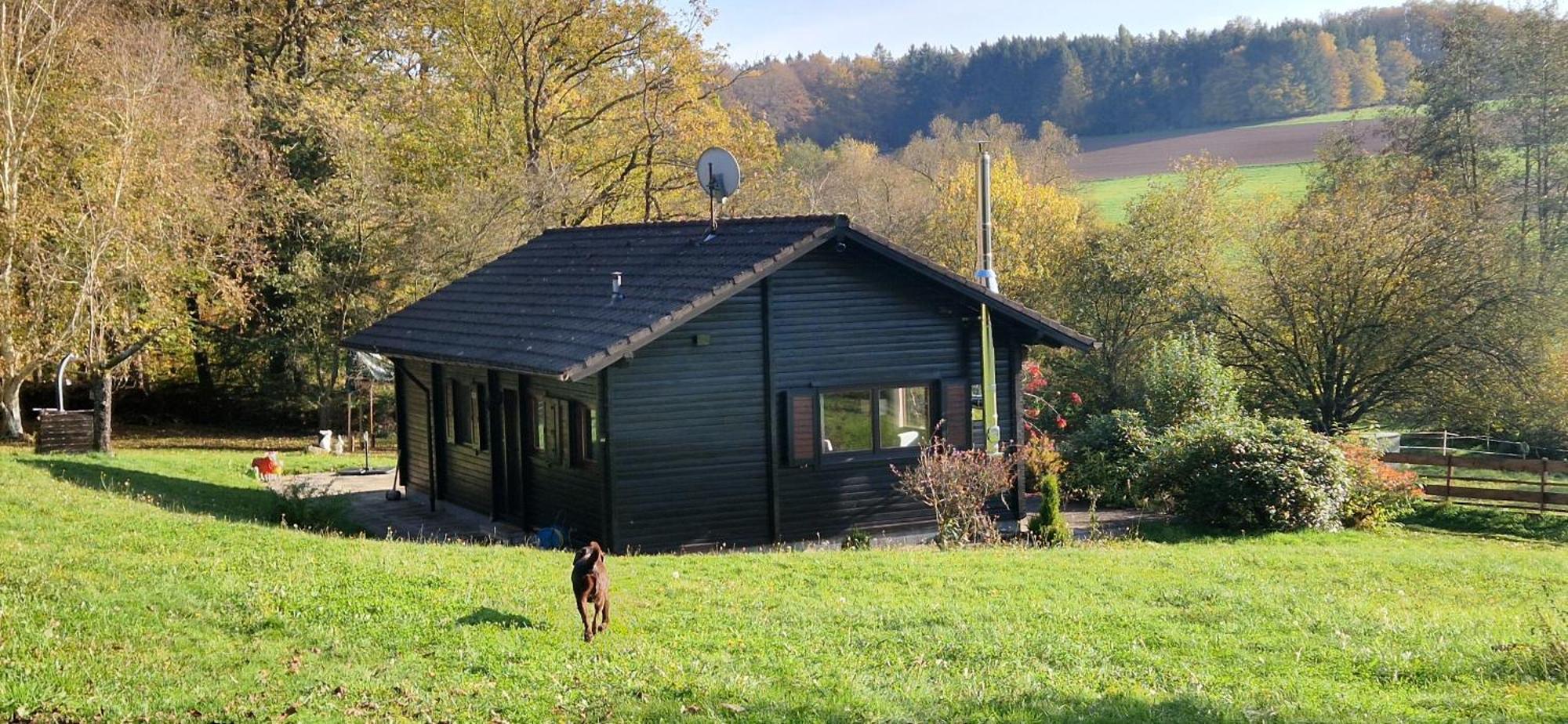 Blockhaus Am Waldrand Villa Erbach  Buitenkant foto