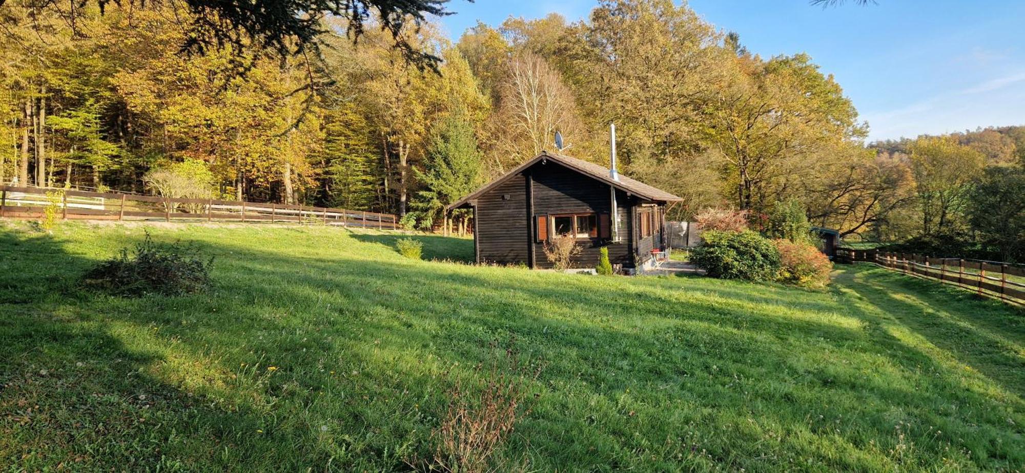 Blockhaus Am Waldrand Villa Erbach  Buitenkant foto