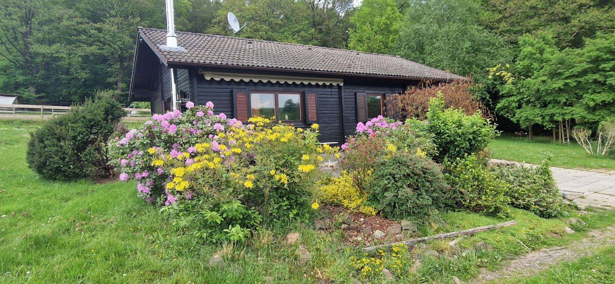 Blockhaus Am Waldrand Villa Erbach  Buitenkant foto